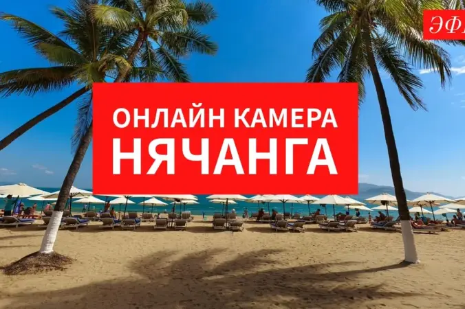 Пляж с пальмами и надписью «Онлайн-камера Нячанга»