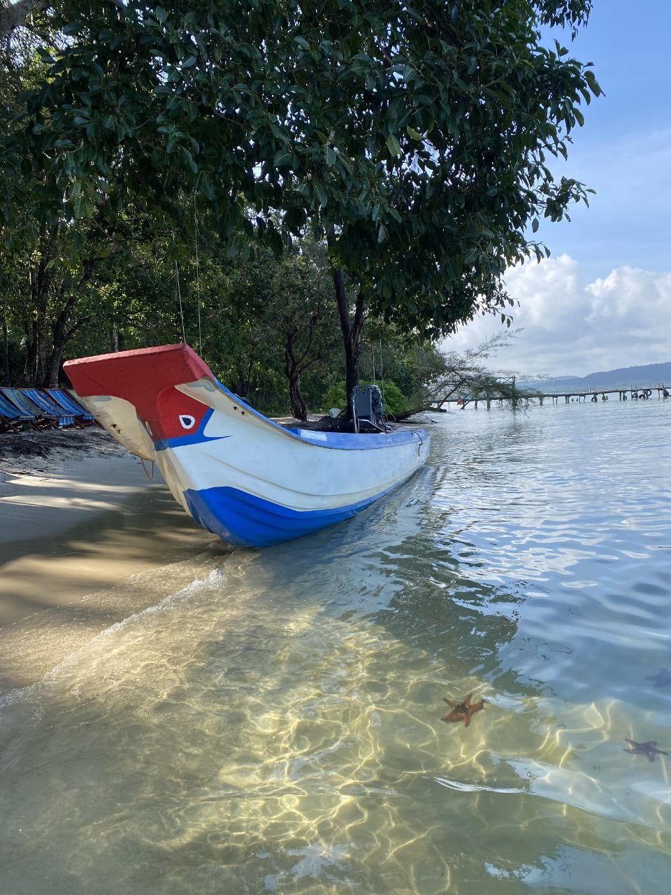 Сокровища джунглей и моря Фукуока (VIP)