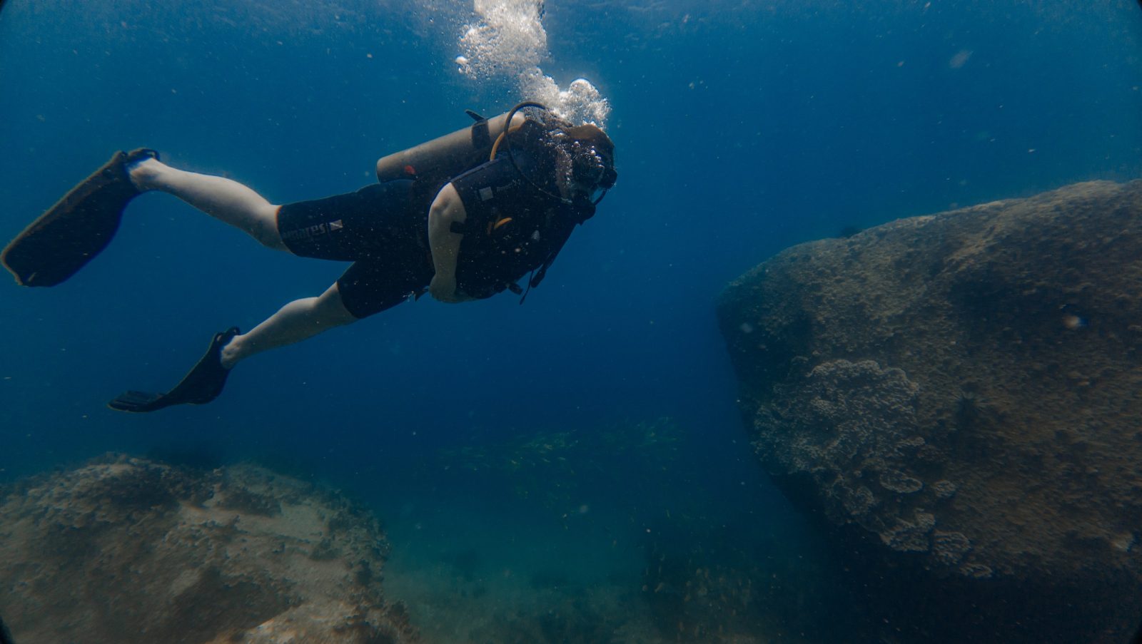Дайвинг и снорклинг