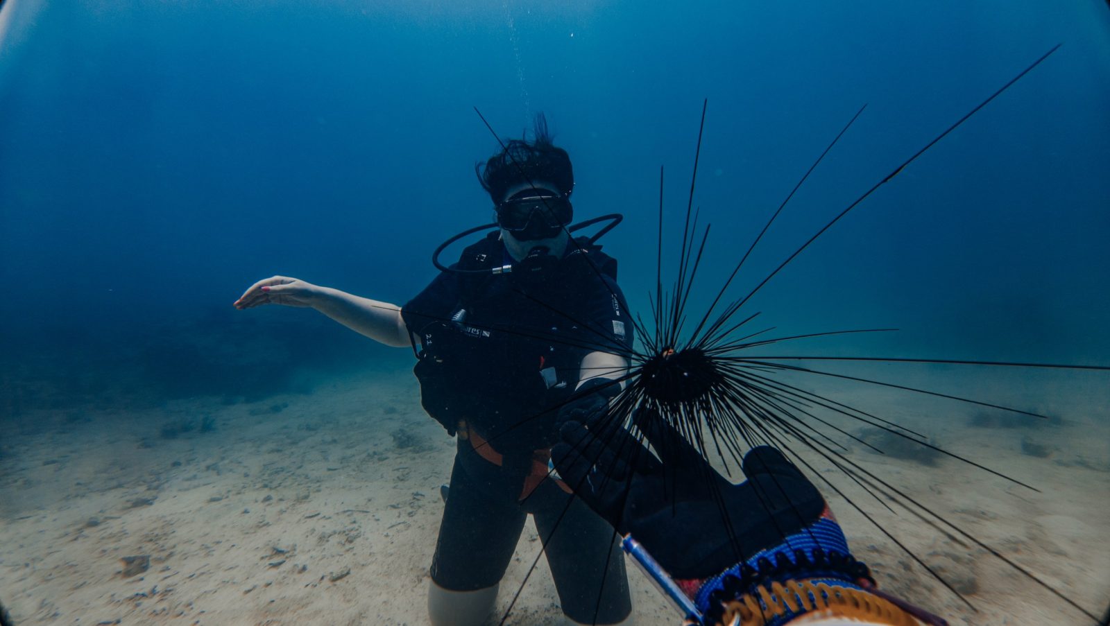 Дайвинг и снорклинг