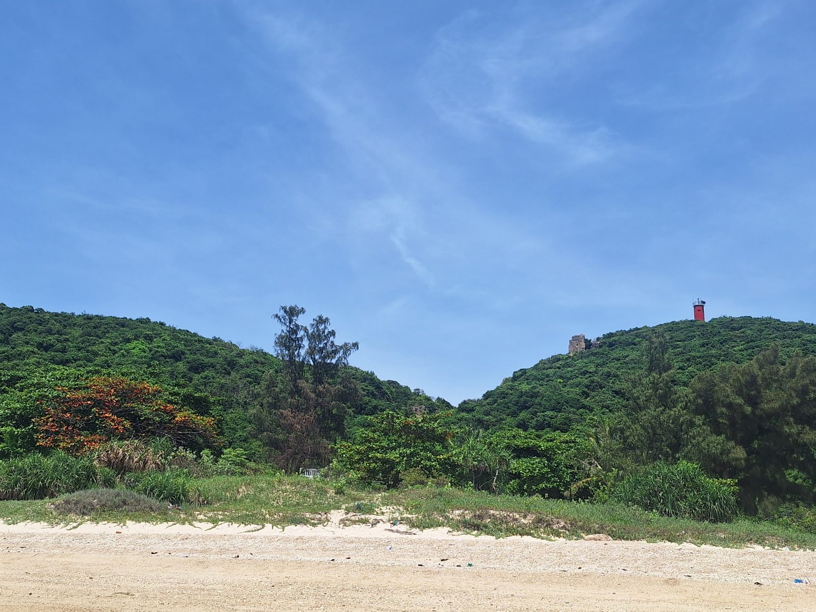 荒野島（VIP）