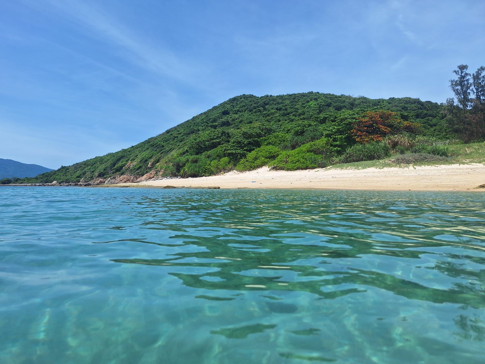 荒野島（VIP）