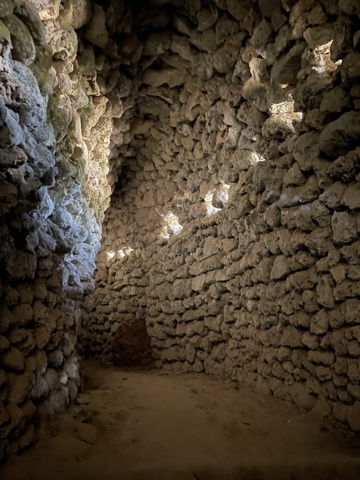 Фанранг с капибарами