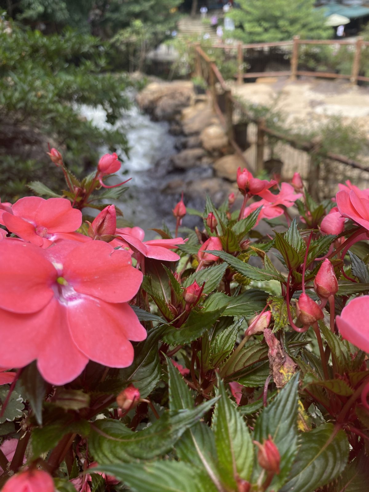 Dalat 1 day