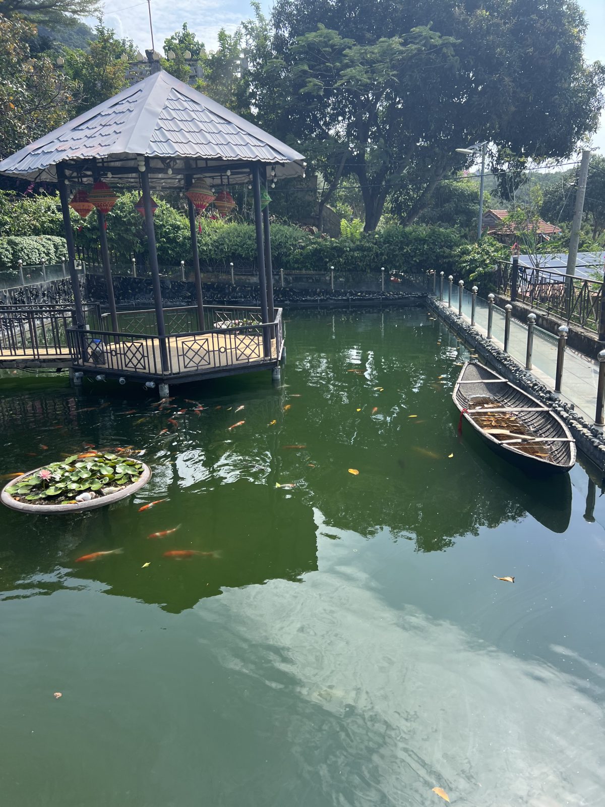 Обзорная по Нячангу с миникруизом