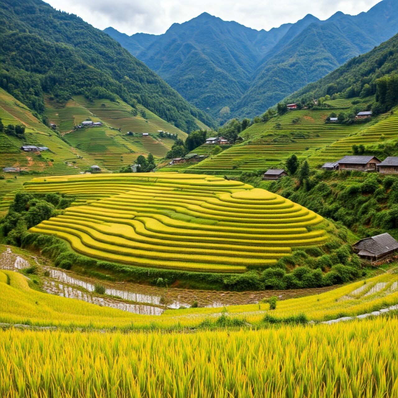 Ханой, Сапа и Фансипан