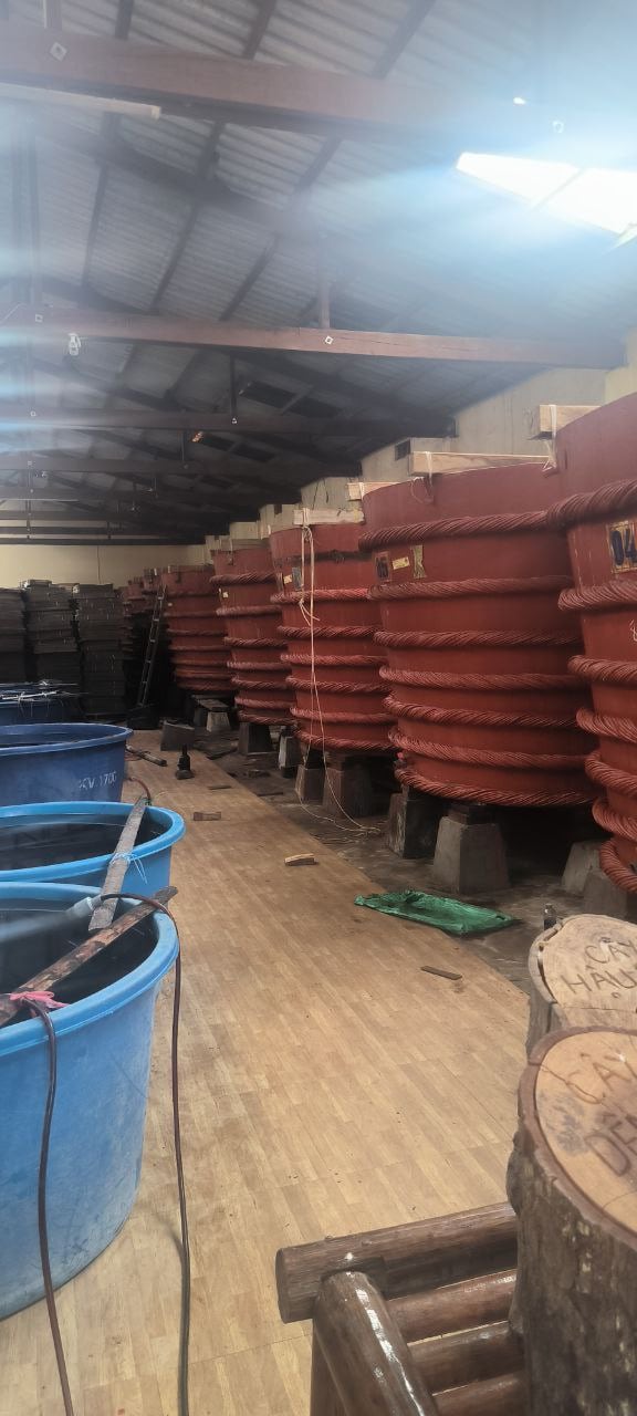 征服狂野的富國島