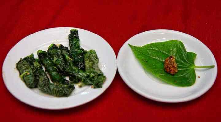 Ужин из змеи