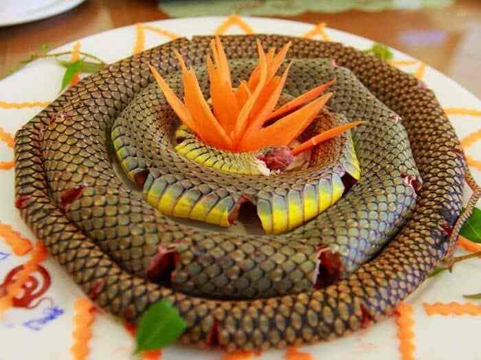 Блюда из змеи