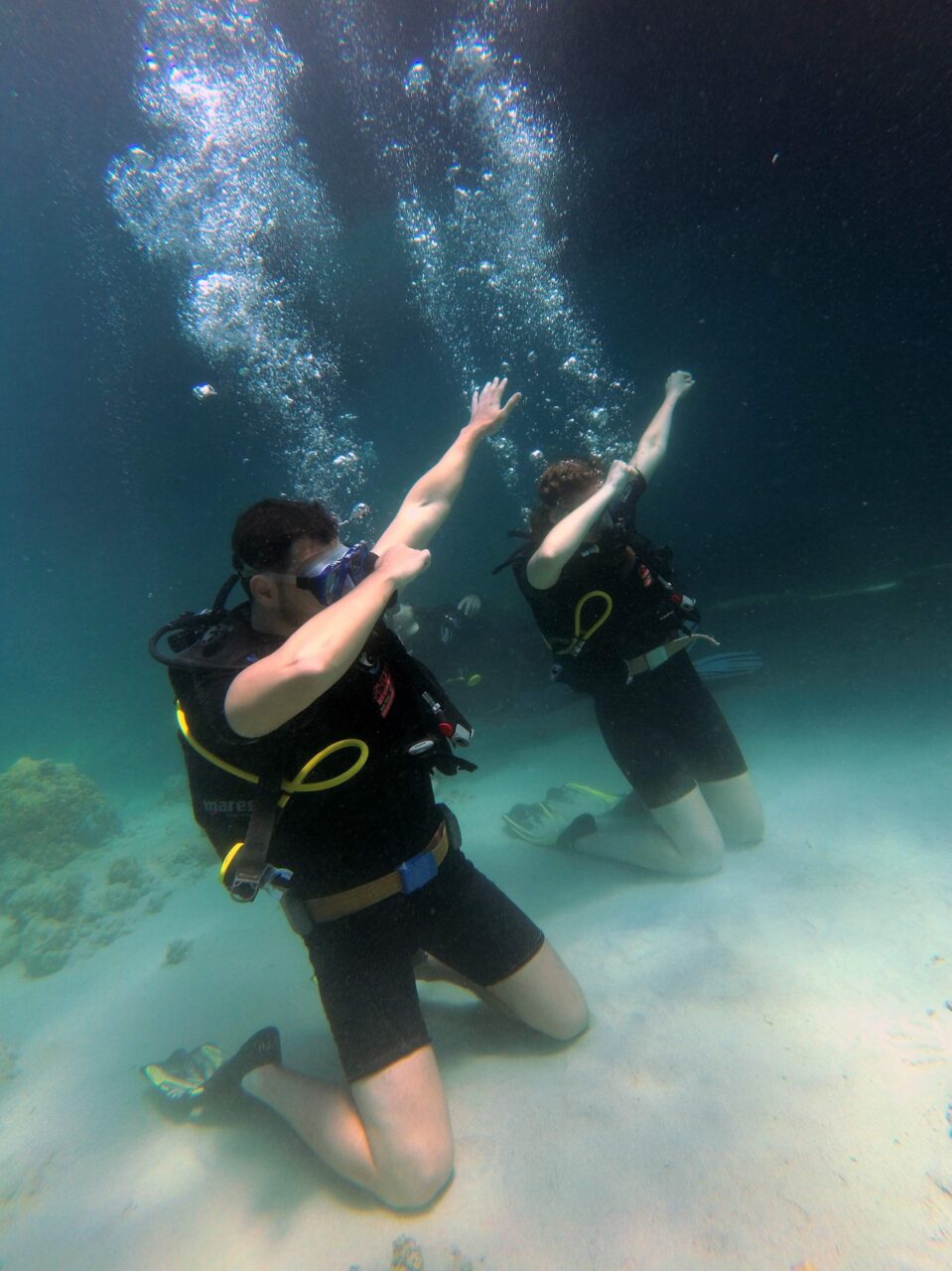 Diving and snorkeling