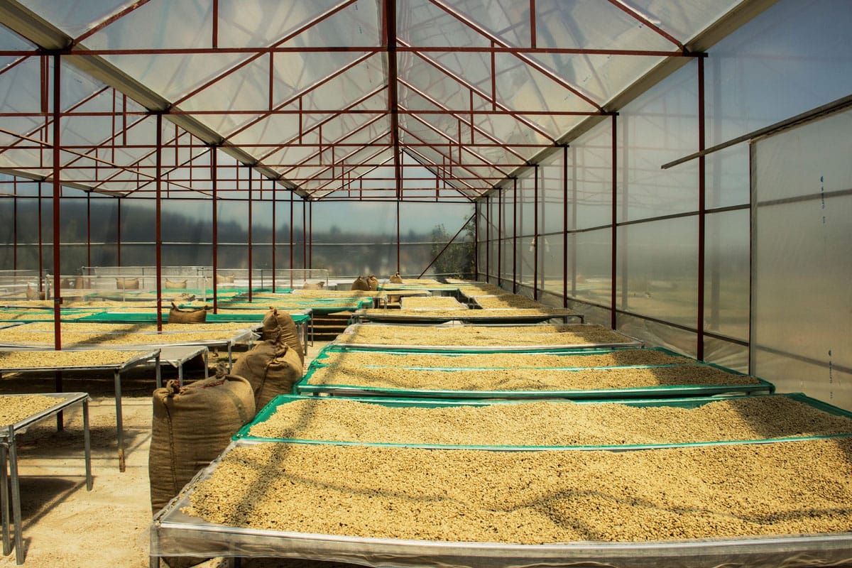 Вьетнамский кофе