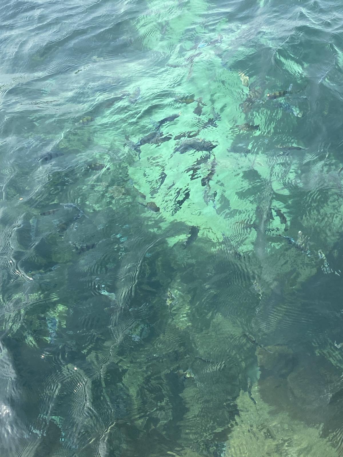 Excursion to 4 islands in Phu Quoc